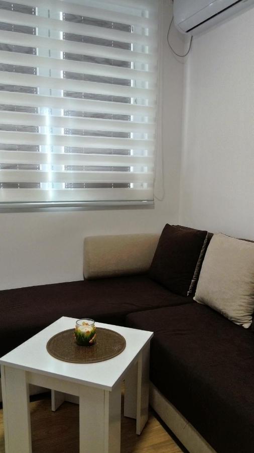 Apartman Golubovic Veliko Gradište Zewnętrze zdjęcie