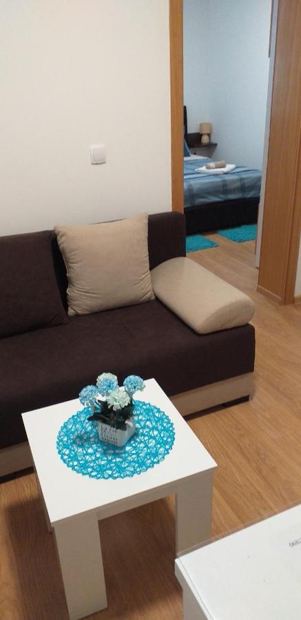 Apartman Golubovic Veliko Gradište Zewnętrze zdjęcie
